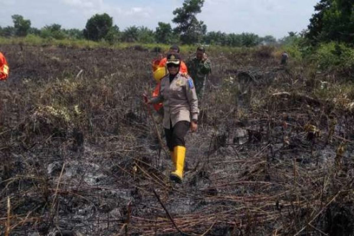 1 Hektare Lahan Gambut Terbakar di Pandau, Pembakar Masih Diselidiki