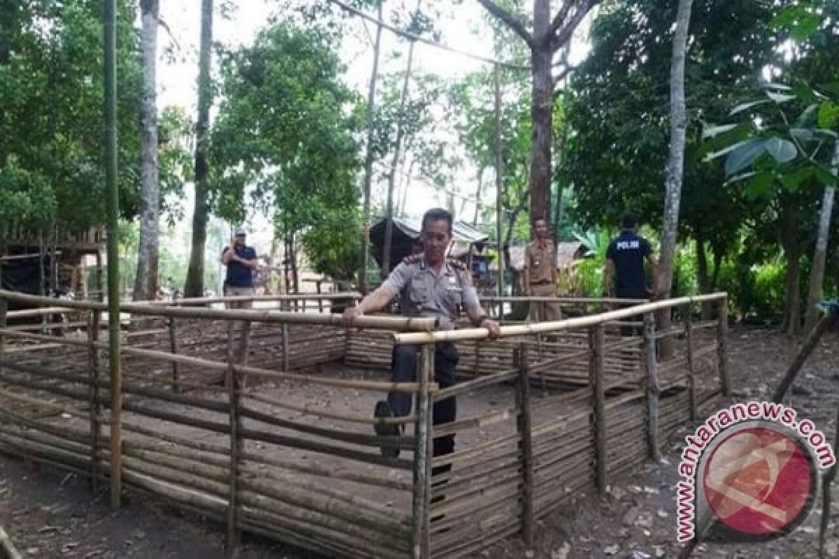 Polisi grebek judi sabung ayam 