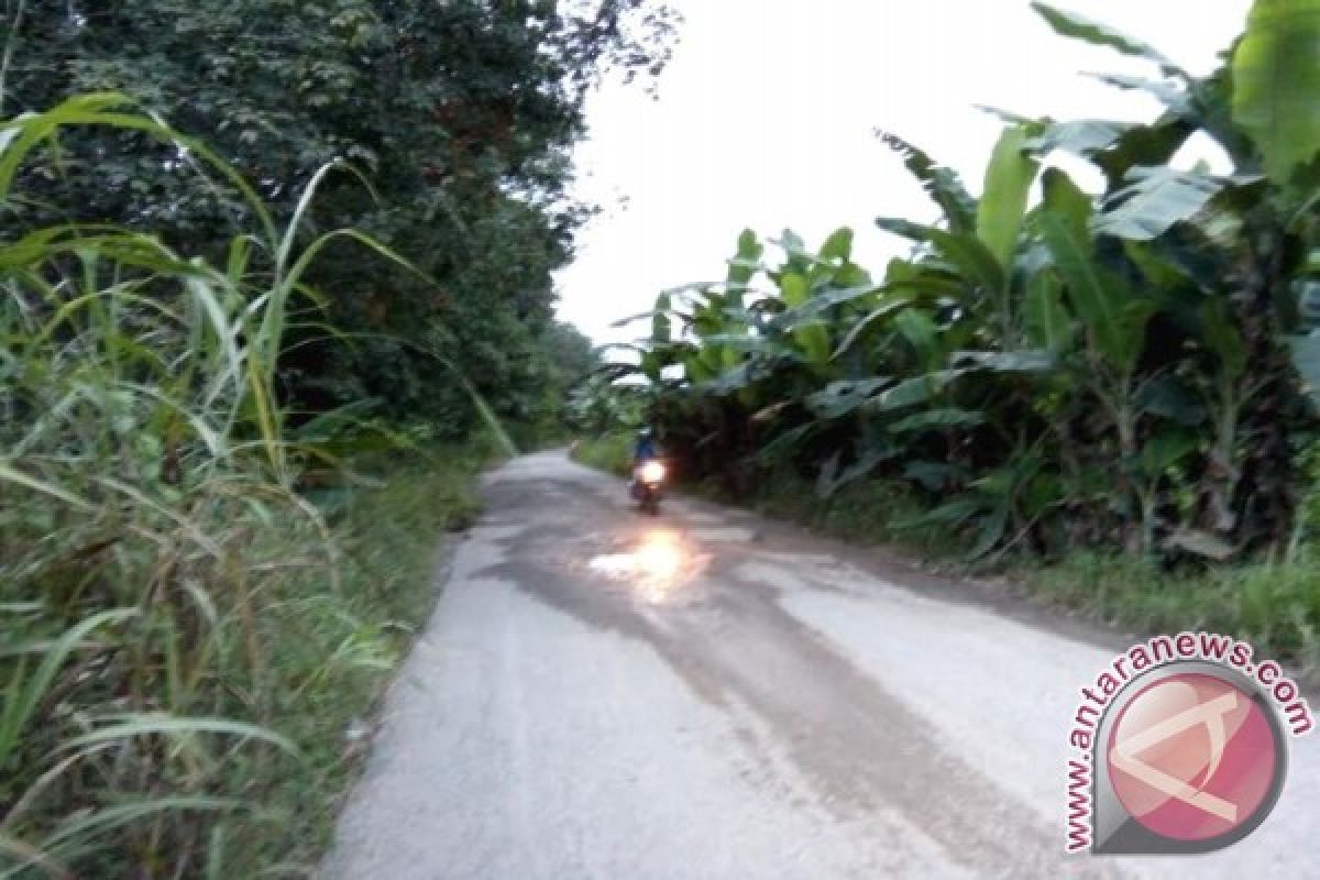 Eddy Raya Janji Perbaiki Jalan Jelapat - Desa Baru 2018