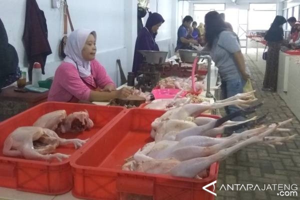 Harga Daging Ayam Ras di Purwokerto Rp35.000/Kg