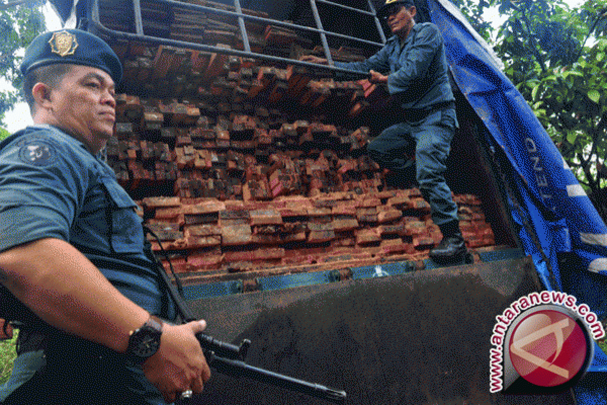 TNI amankan 476 kg kulit kayu masohi tanpa dokumen