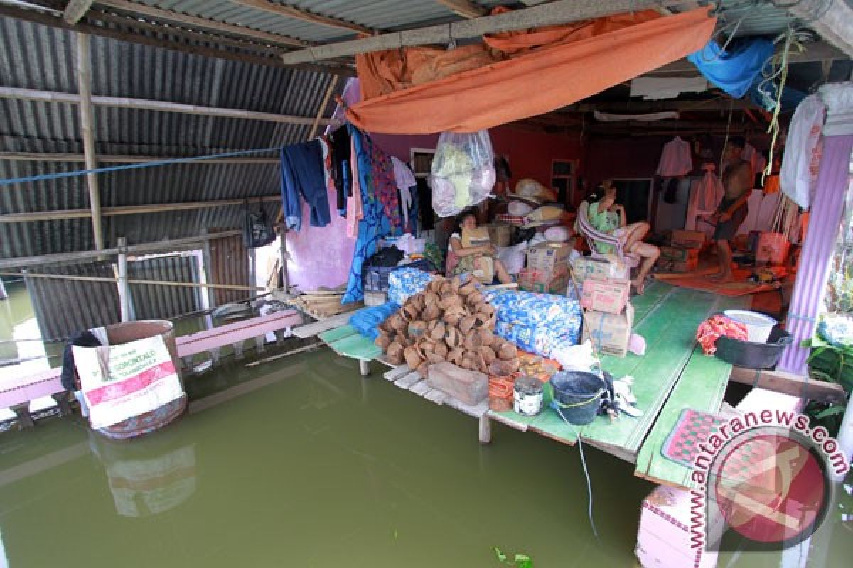 Puluhan rumah di Kotawaringin Timur kebanjiran