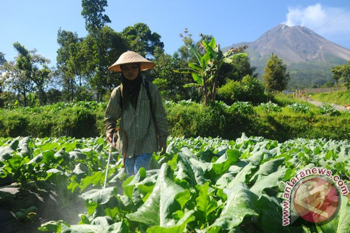 Kadin-Belanda jadikan Kota Batu percobaan pertanian