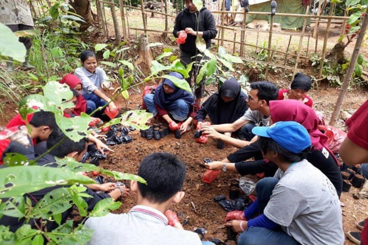 Mahasiswa IPB Ciptakan Bank Bibit Agroforestry Solusi Penyediaan Bibit Tanaman