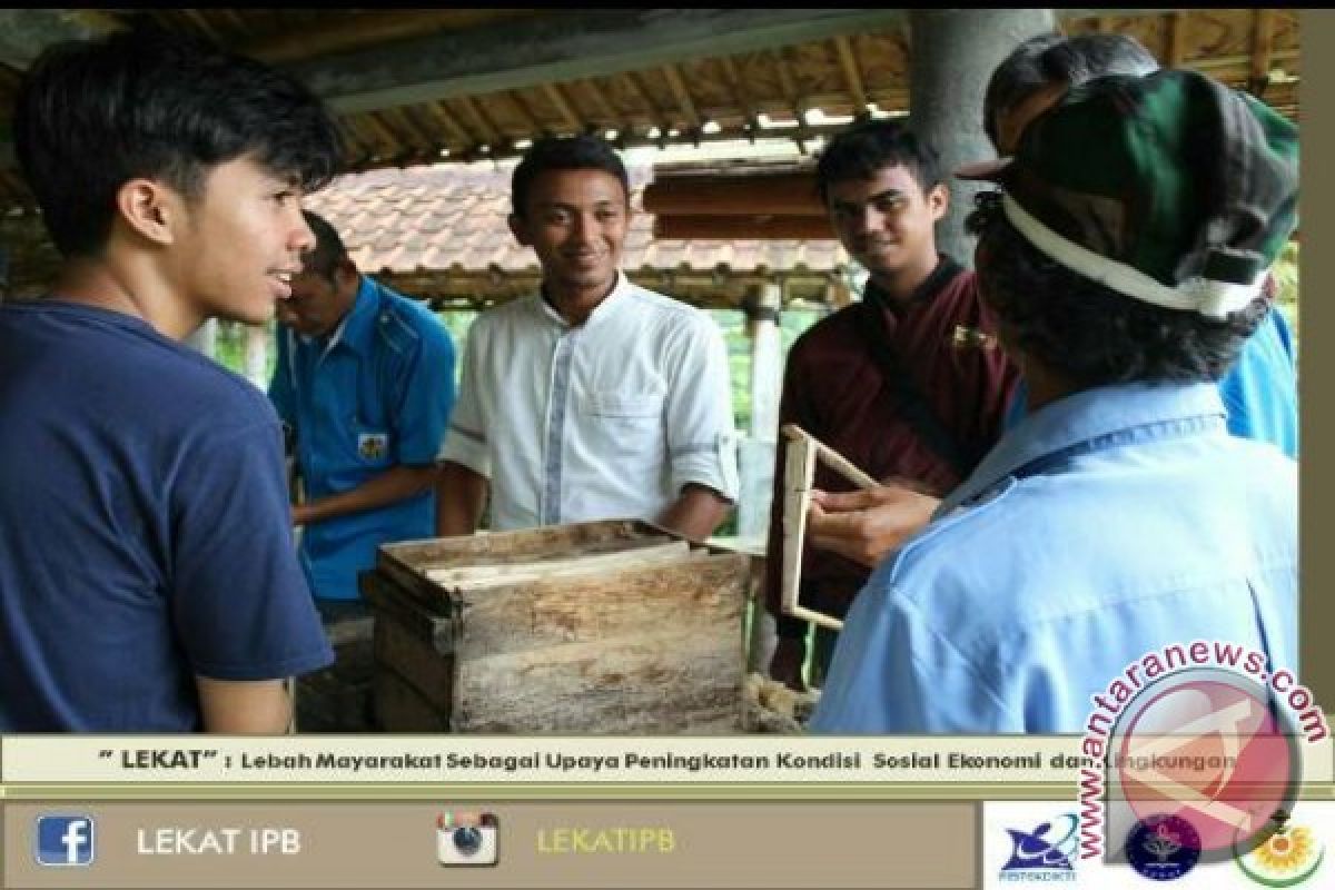 Mahasiswa IPB Gerakkan Masyarakat Budidaya Lebah