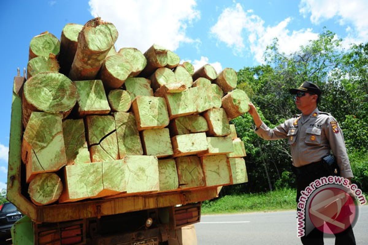 Kubu Raya segera perbaiki tujuh jembatan rusak