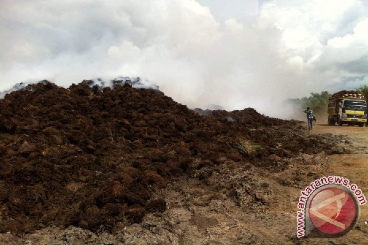 Pembakaran Tandan Sawit di Kabupaten Bangka Tengah Diduga Picu Polusi Udara