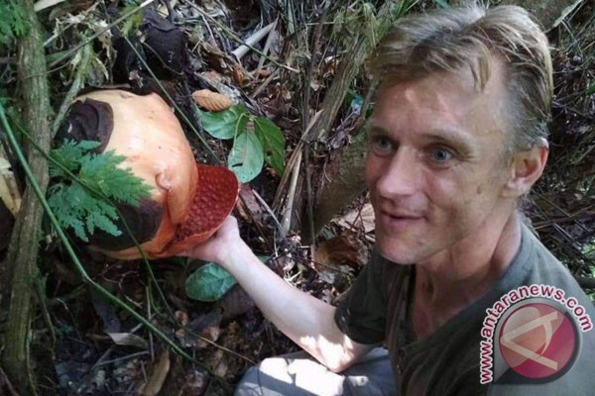 Turis Belanda Kagumi Keunikan Rafflesia Gadutensis