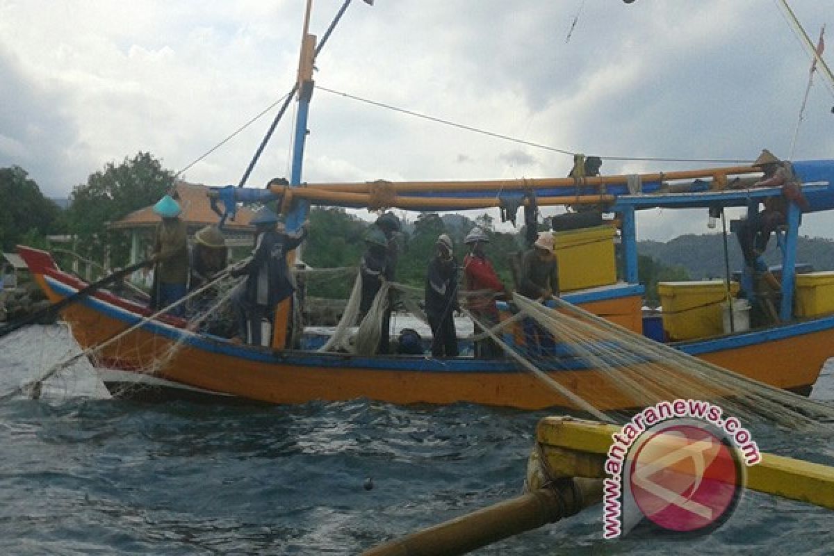 Studi : 10 persen ikan tangkapan di Laut dibuang