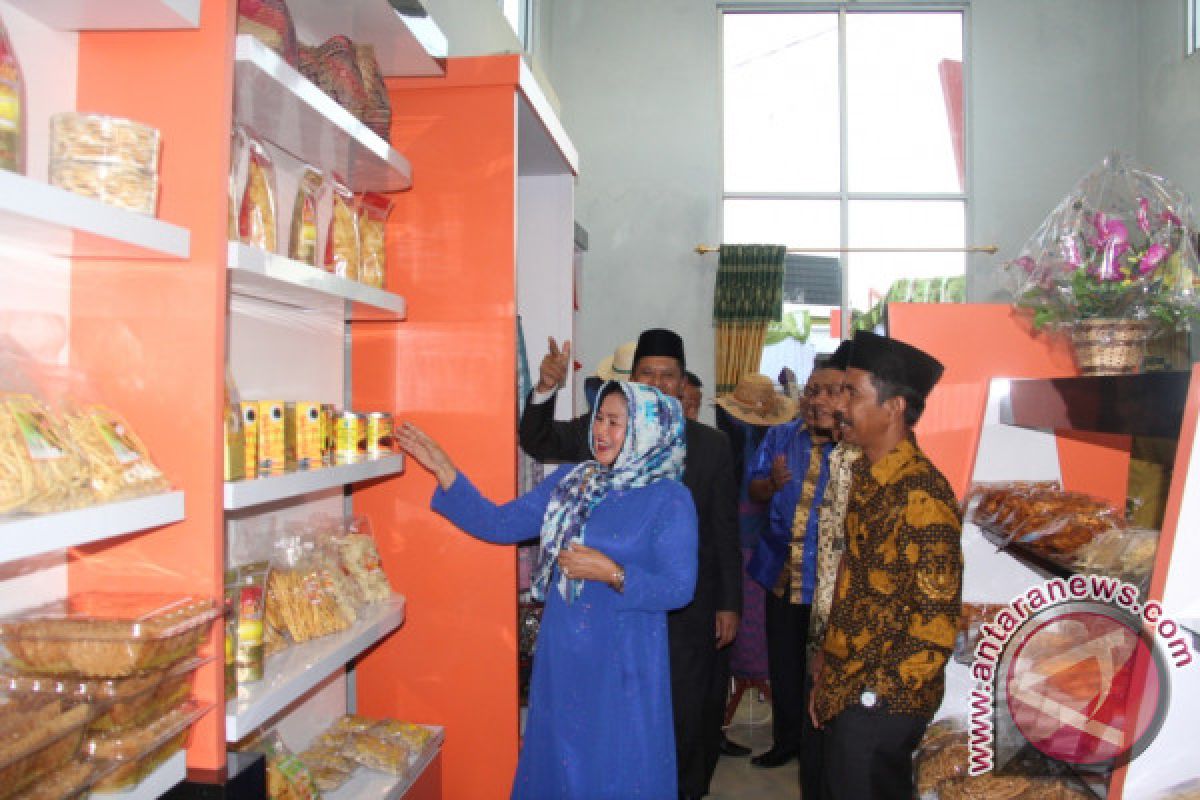 Pemkab Solok Luncurkan Gedung Promosi