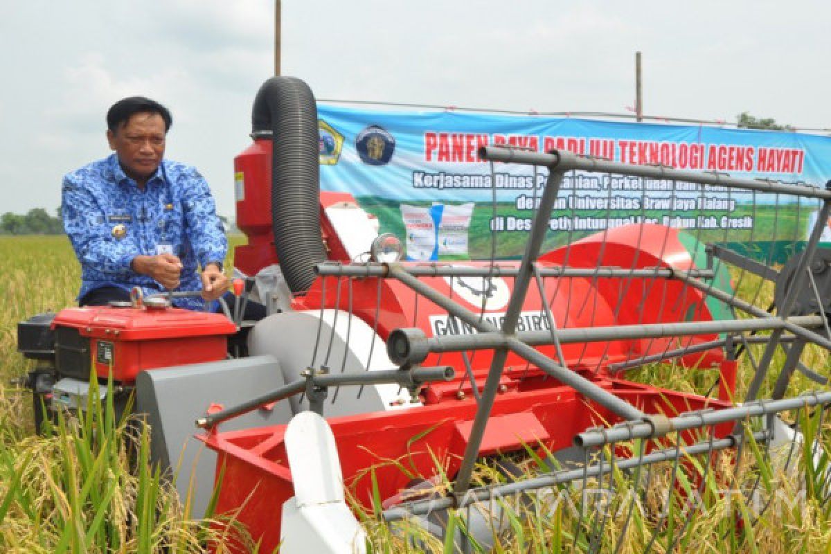 Bupati Sambari Sejahterakan Petani di Tengah Industrialisasi  