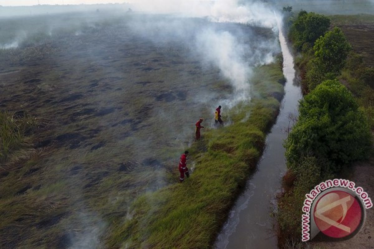 Kebakaran Lahan Di Indralaya