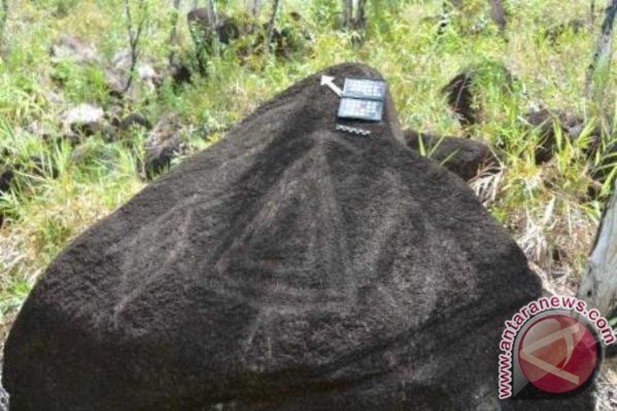 Tiga kawasan situs Papua berpotensi jadi Warisan Dunia