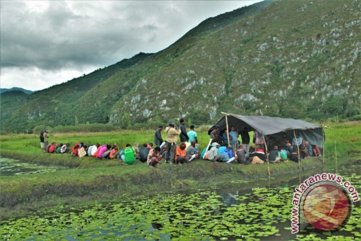 Pemkab Jayawijaya dorong petani coba budi daya ikan tawes 