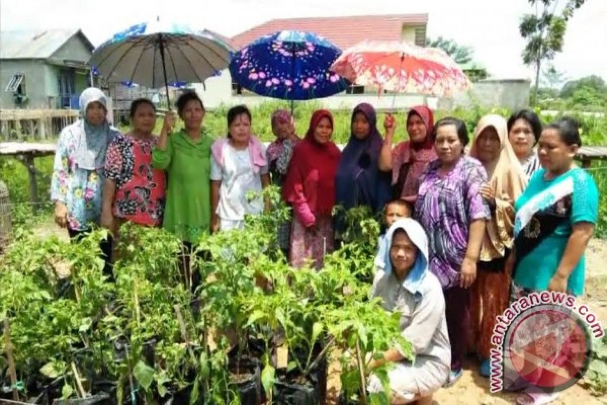 Dinas Pertanian perbanyak wilayah kampung cabai