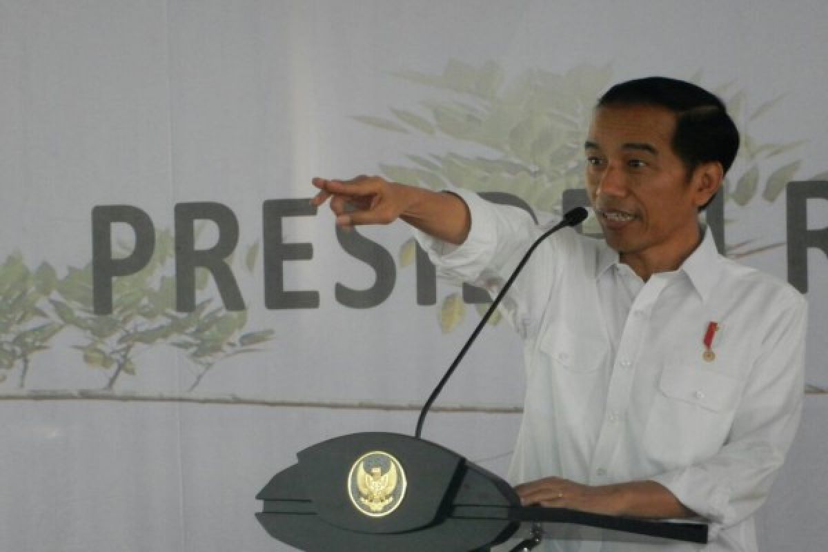 President Jokowi urges society to maintain unity in diversity