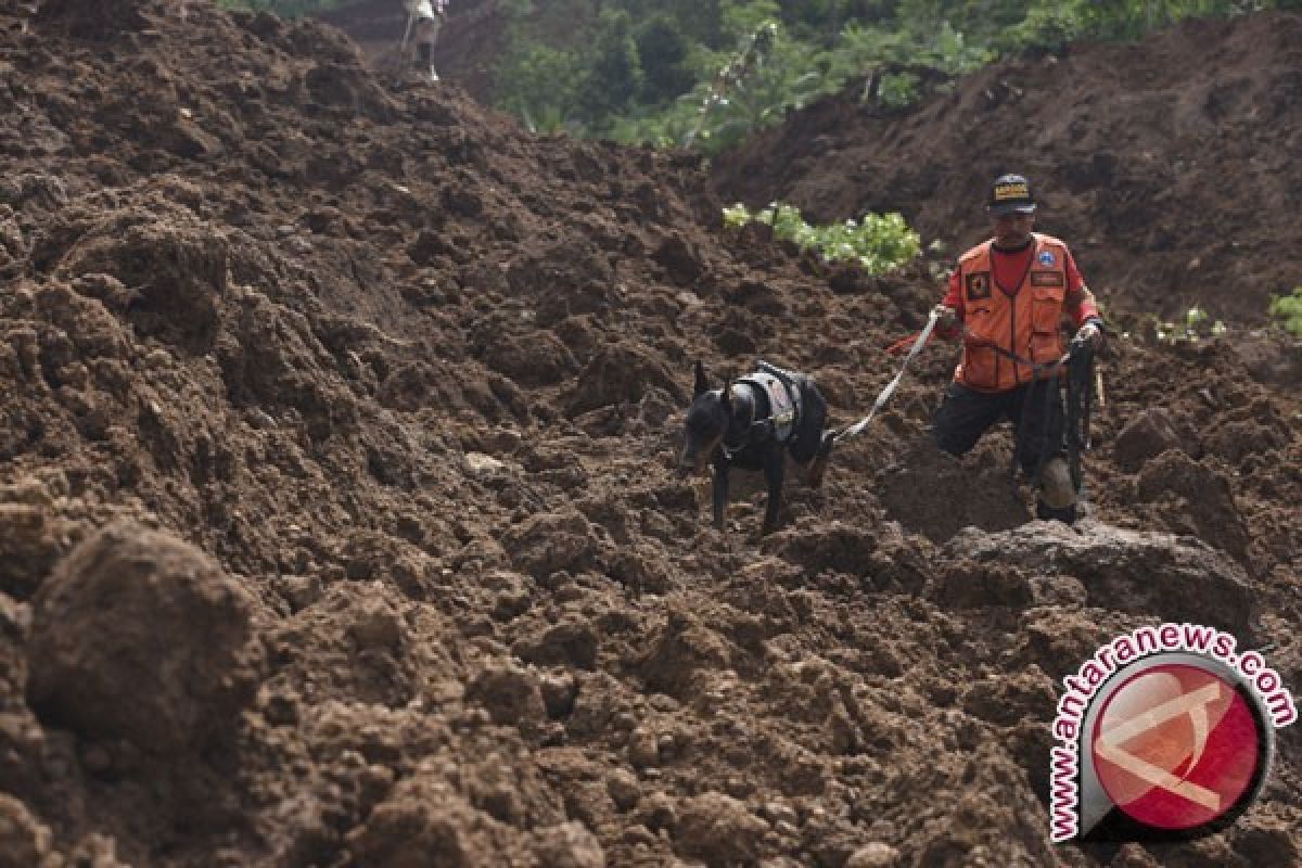 Basarnas Tutup Sementara Pencarian Korban Longsor Pohuwato