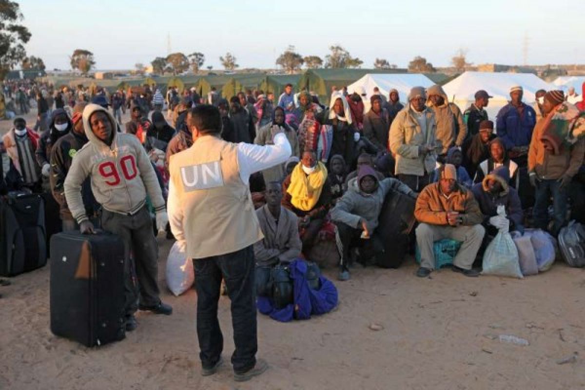 UNHCR: 2.500 pengungsi diselamatkan dari Libya