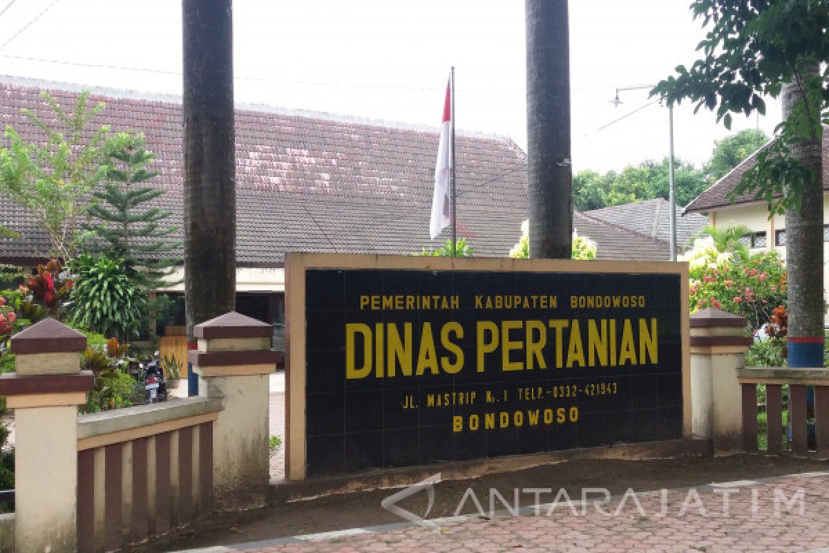 Pemkab Bondowoso Usulkan Bantuan Kandang Ternak Sapi