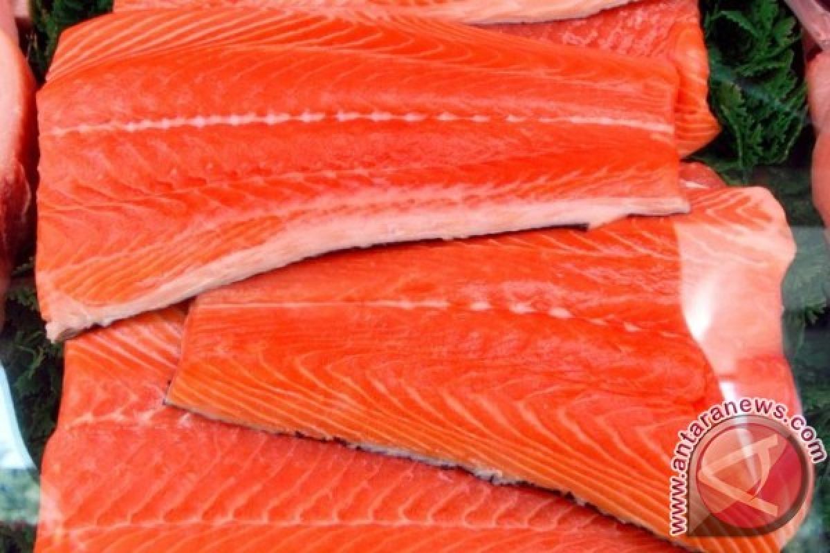 Ikan salmon Norwegia bukan sumber virus corona di Beijing