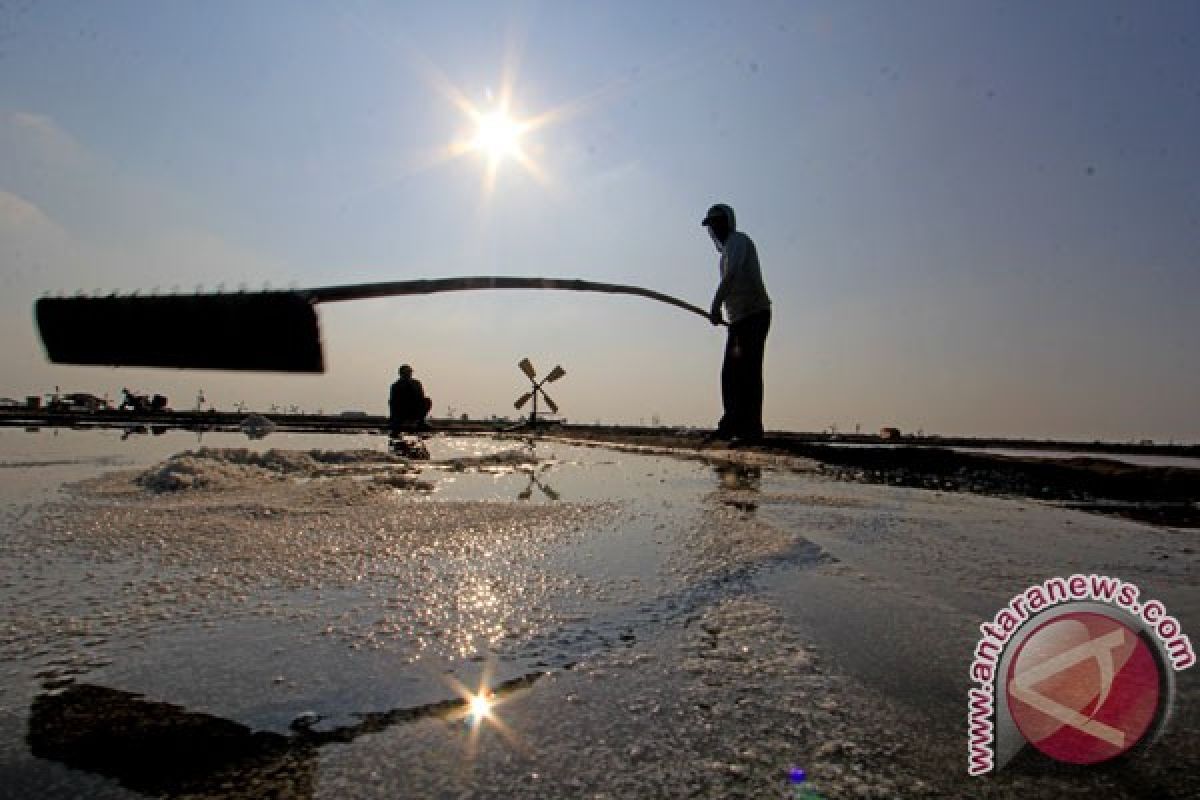 Petani garam Jepara nikmati harga garam mahal