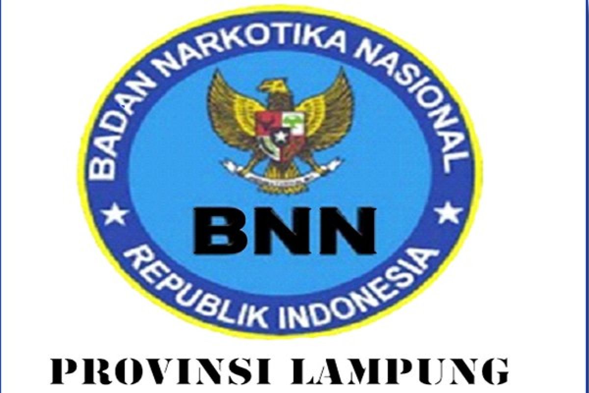 BNN Lampung Sita 265,1 Gram Sabu-sabu 