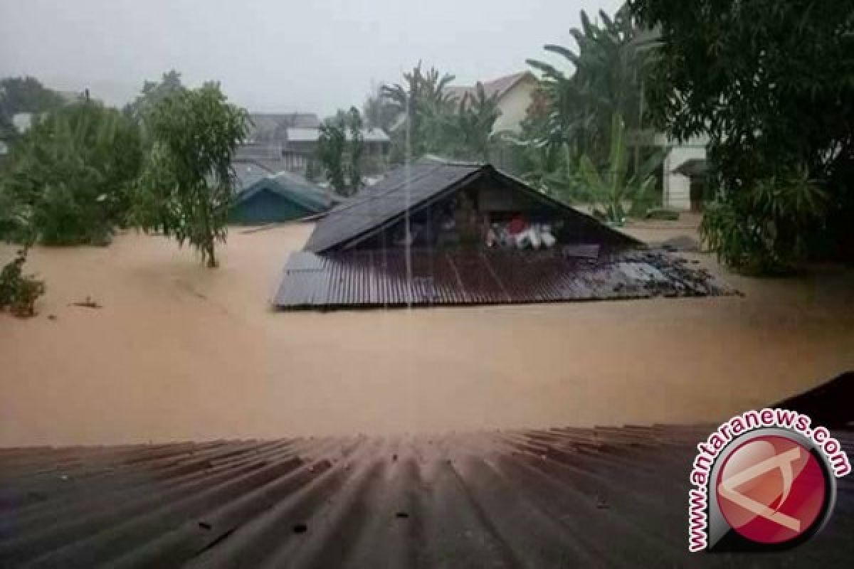 Banjir Di Tolitoli Diduga Karena Hutan Mulai Rusak