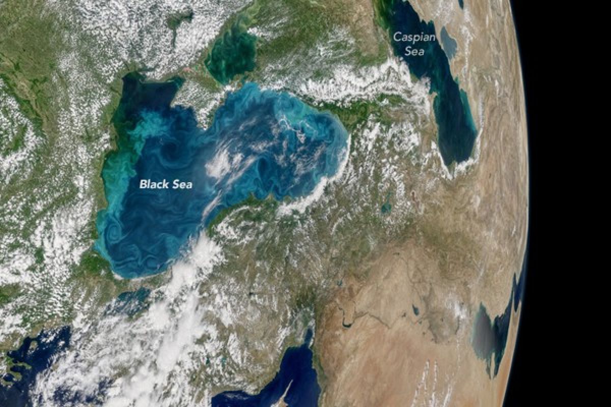 "Ledakan plankton" membuat Selat Bosphorus berwarna pirus susu