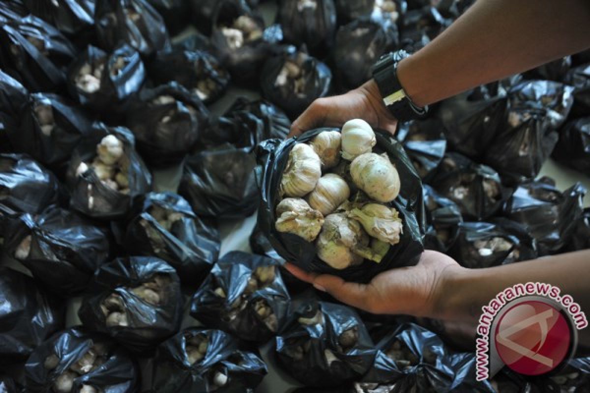 Polisi dalami kasus bawang putih ilegal milik PT CGM