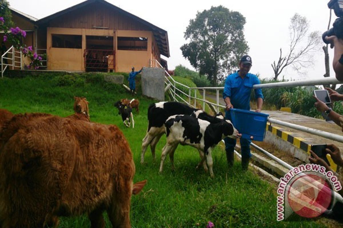 Mentan Apresiasi Keberhasilan BET Produksi 'Belgian Blue'