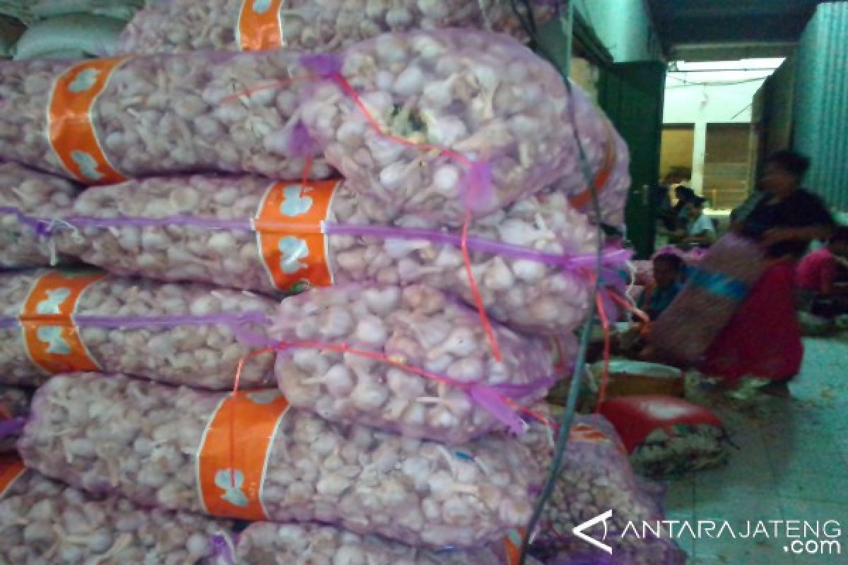 Harga Bawang Putih Kating Melonjak