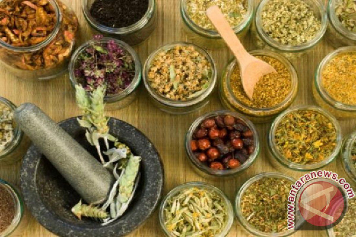 Pengobat Alternatif Harapkan Obat Tradisional Berkembang - ANTARA News  Sumatera Barat - Berita Terkini Padang, Sumatera Barat