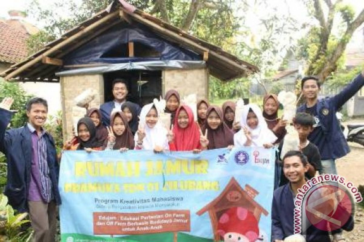 Mahasiswa IPB Ciptakan Edukasi Miniatur Pertanian 