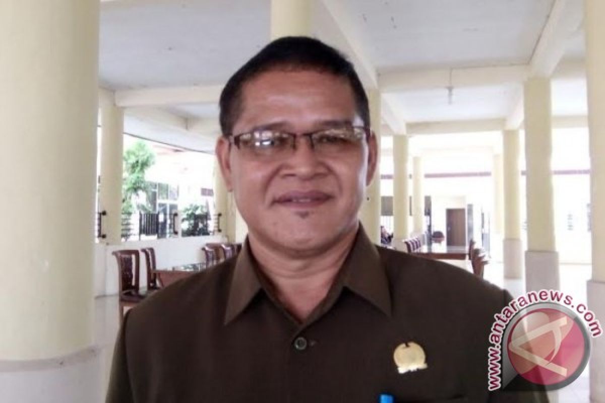 Legislator Barsel Apresiasi PLN Bangun Jaringan Listrik di 5 Desa