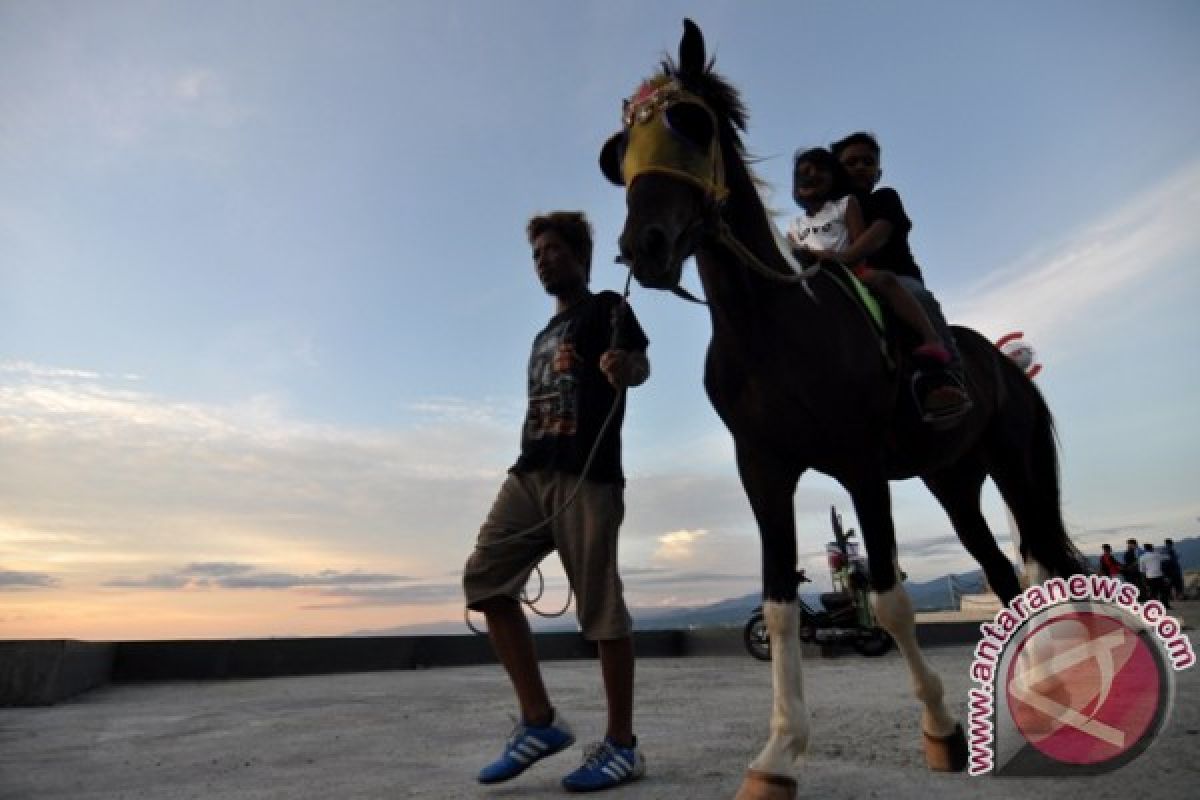 Penggunaan Kawasan Ruang Teluk Palu Untuk Wisata 