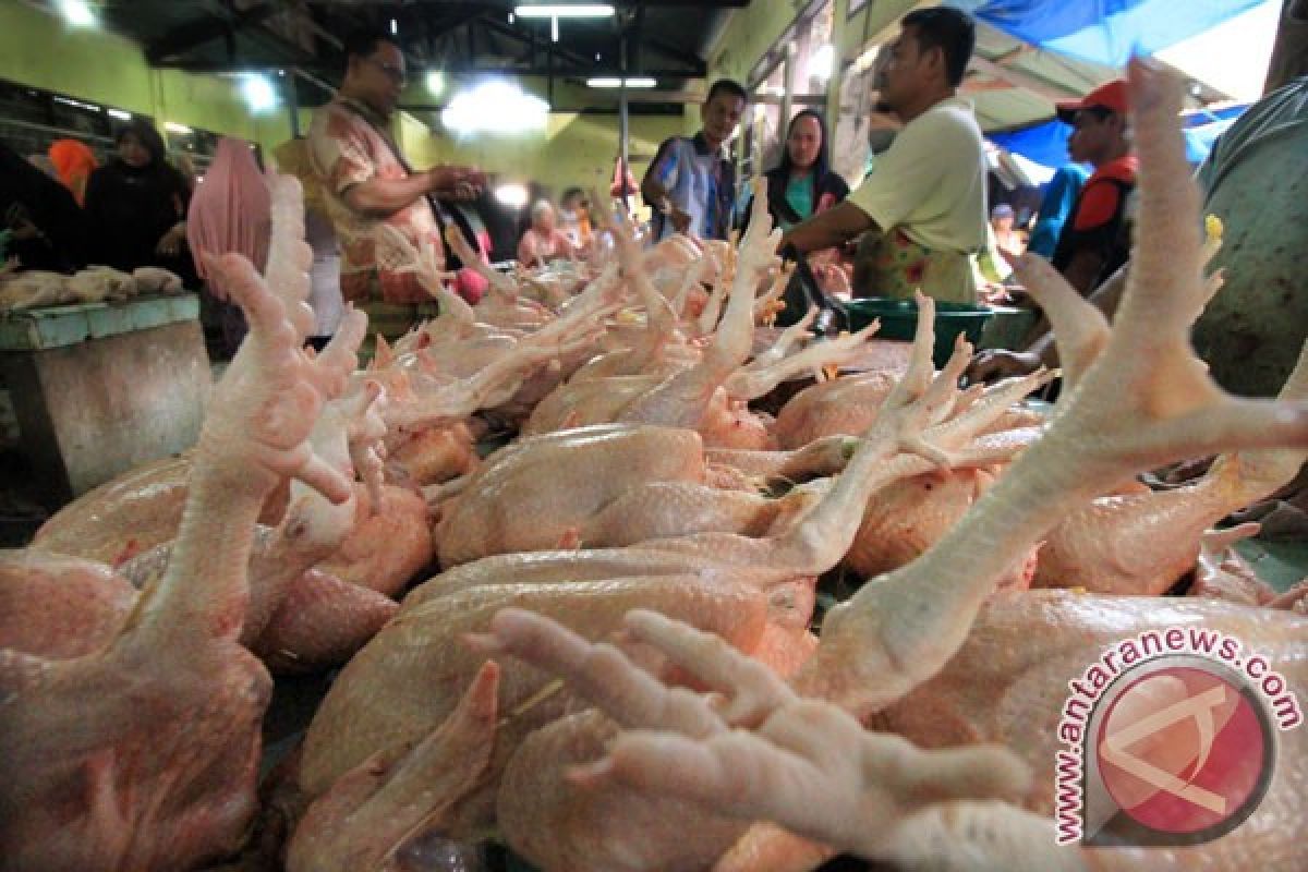 Harga ayam potong meroket di sejumlah pasar tradisional Cianjur