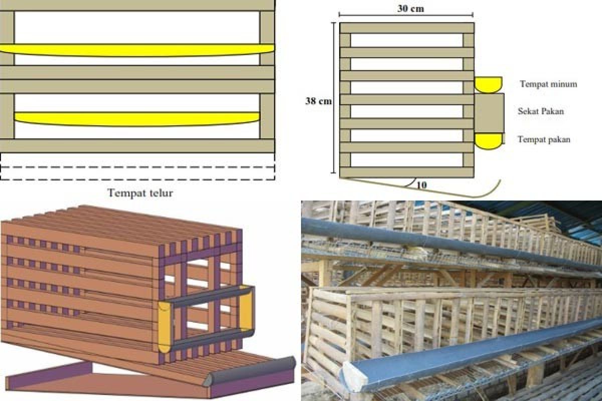 Wow,,, Mahasiswa IPB Ciptakan Kandang Efesien Bagi Peternak