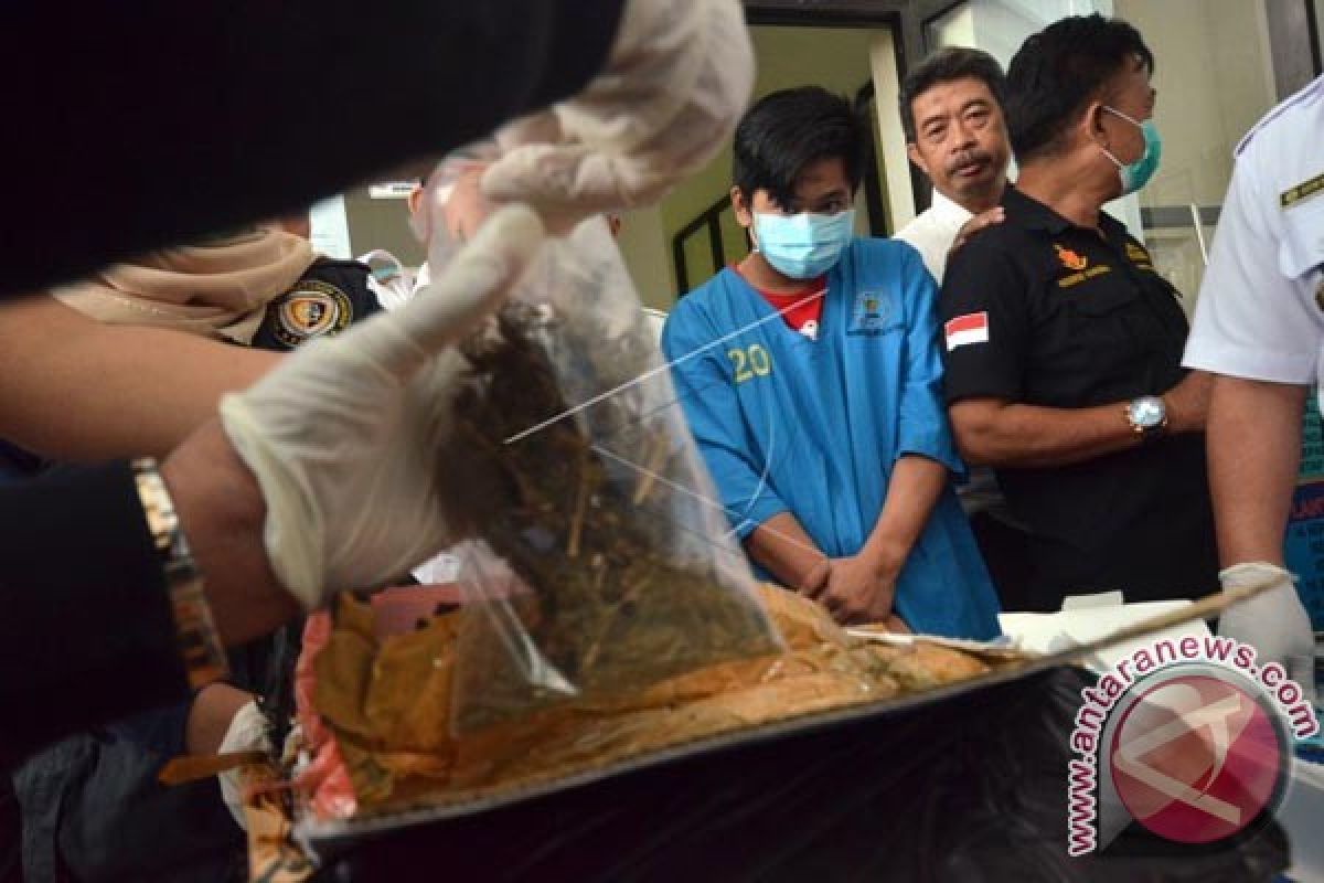 BNNP Sulsel Musnahkan 2,6 Kilogram Ganja Kering 