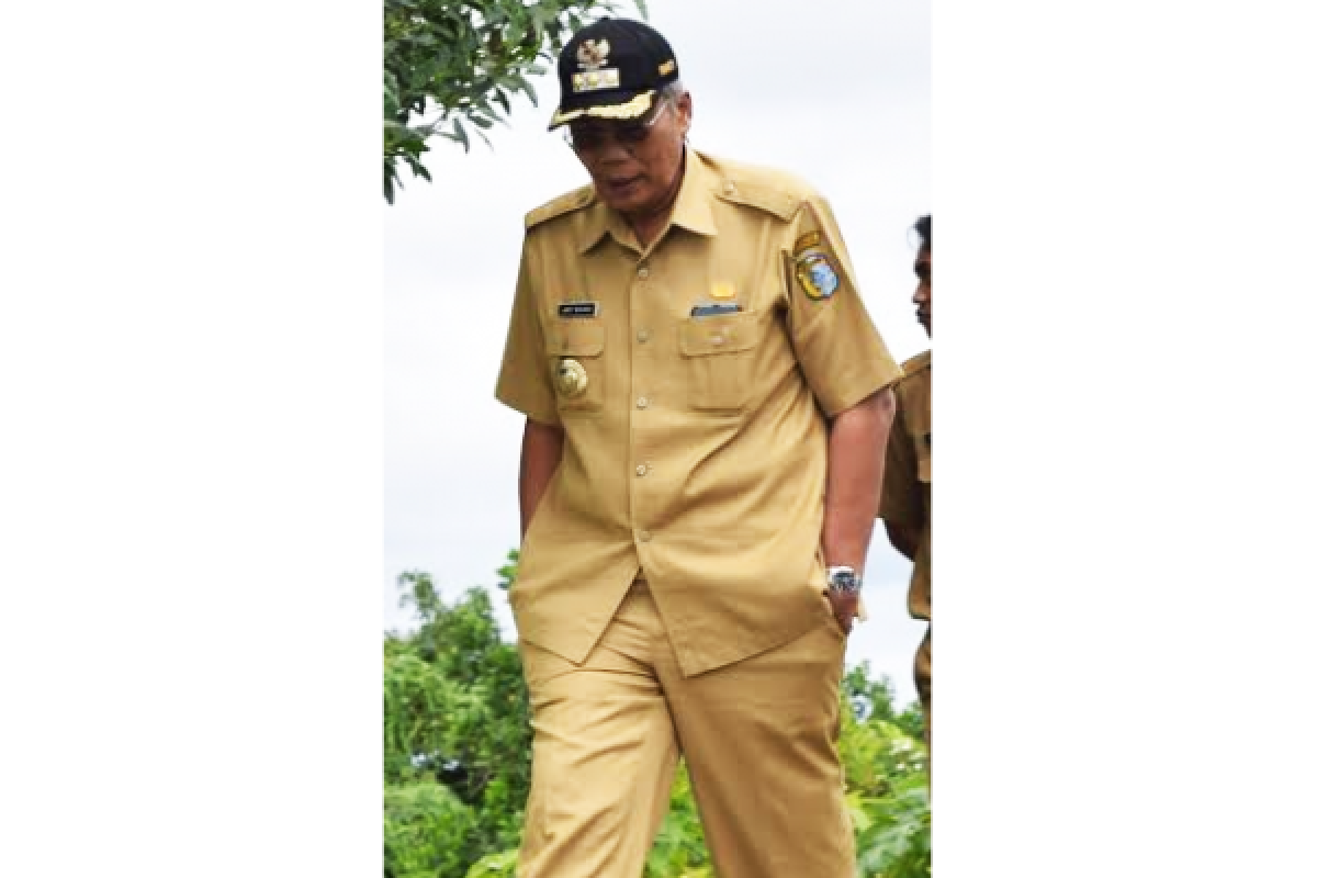 Bupati Sintang resmikan Gedung Kesenian Batu Linoh