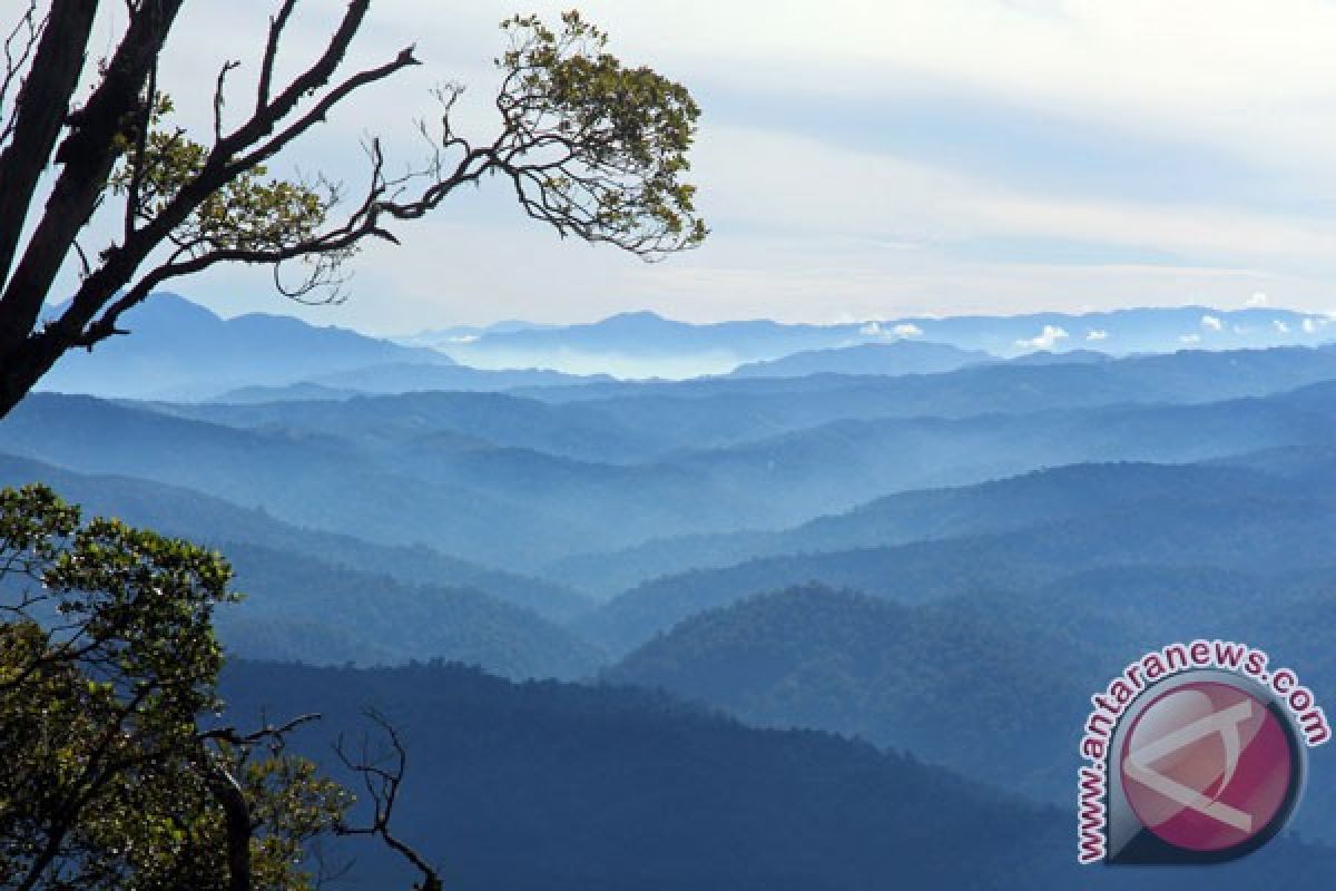 Warisan dunia ekosistem Leuser masih dalam bahaya