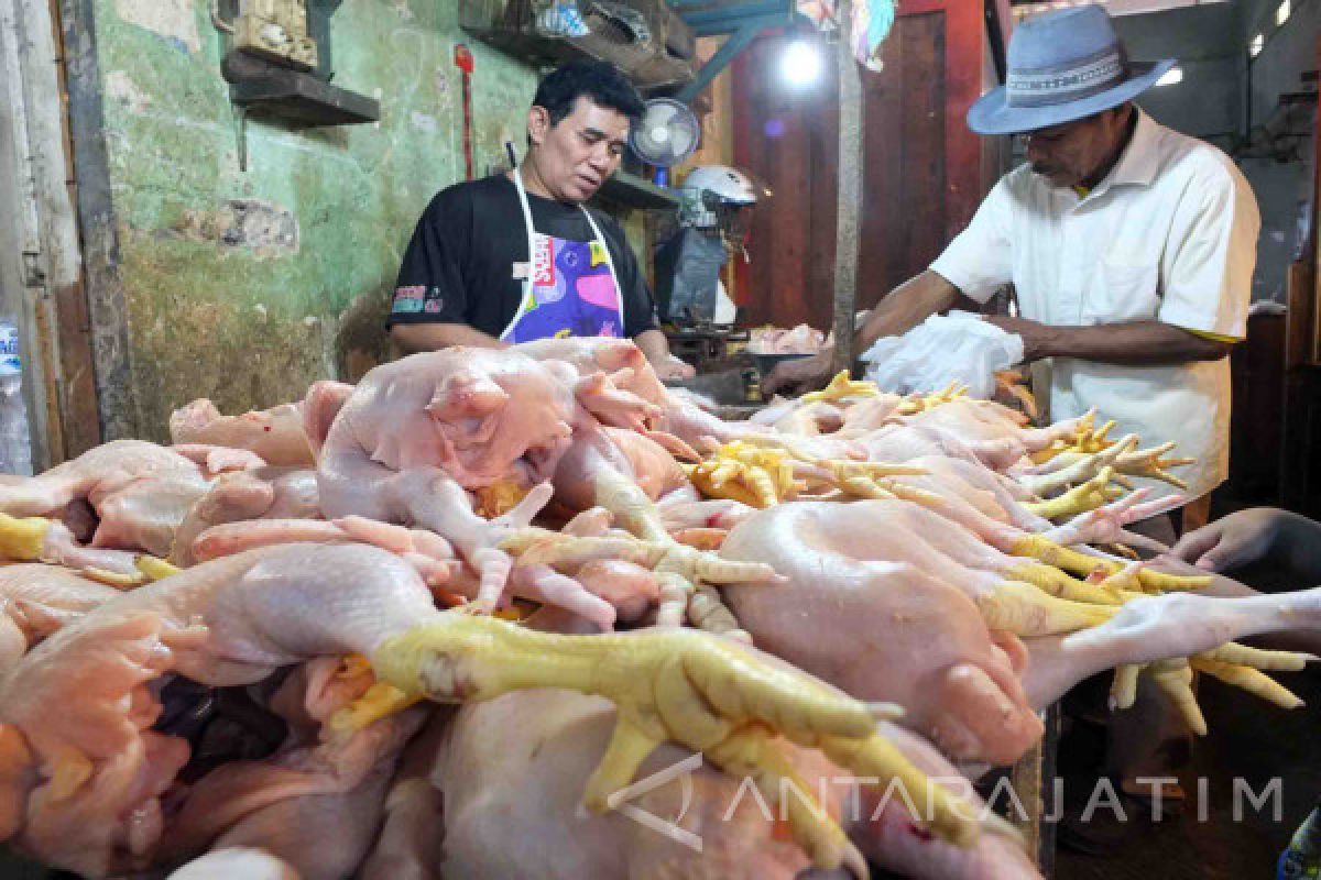 Harga Daging Ayam di Jember Terus Turun Pascalebaran