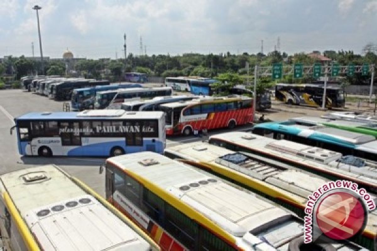 Pemprov Siapkan Bus Ke Masjid Teluk Kendari