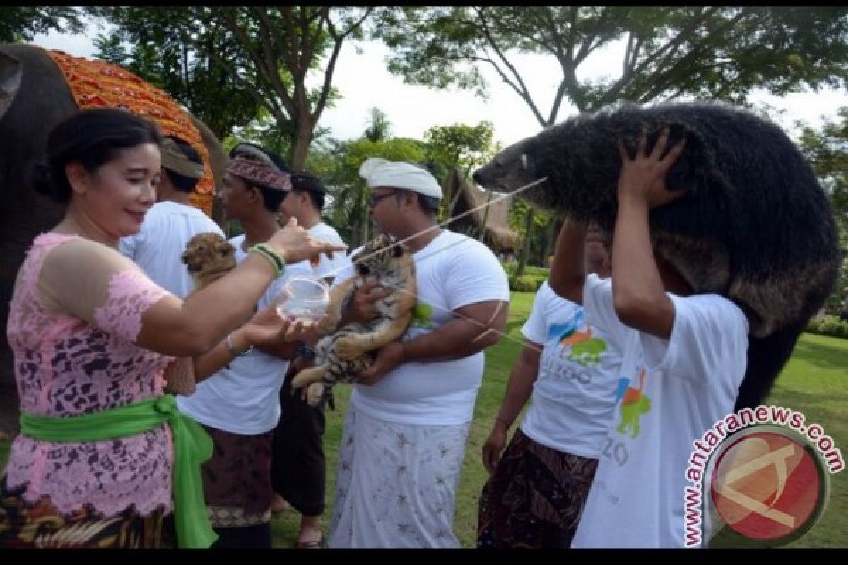 Bali Zoo Tambah Koleksi Satwa Langka