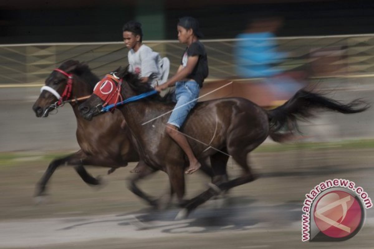 Presiden Diharapkan Hadiri Festival Sumba