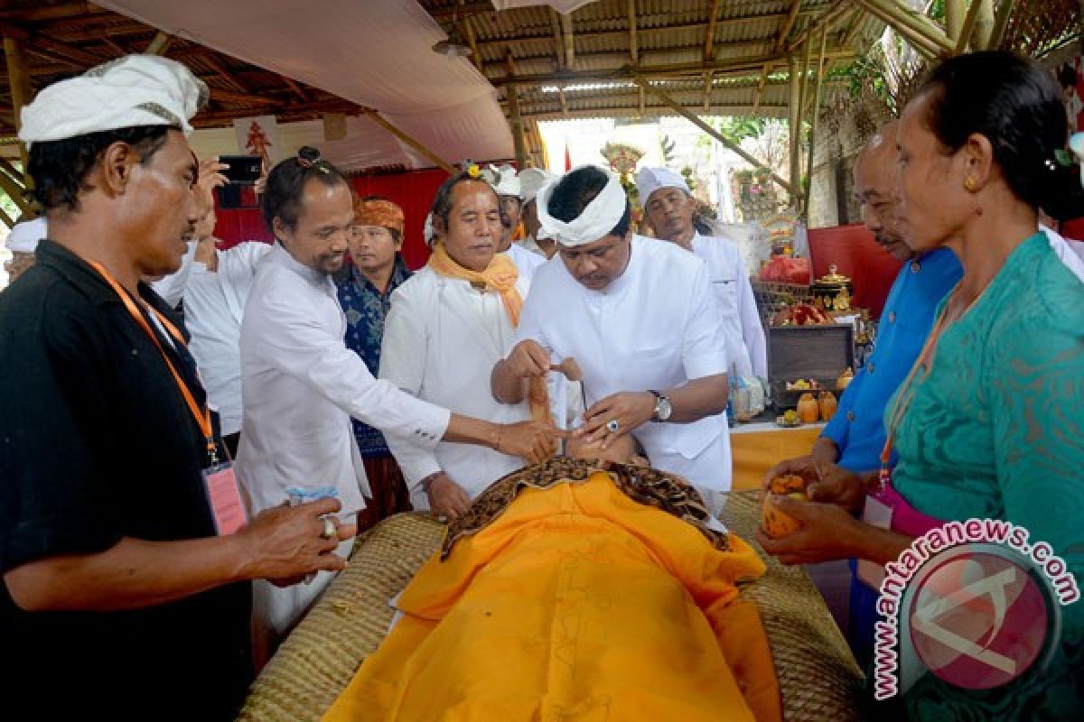 Wagub Bali Hadiri Ritual Potong Gigi Massal