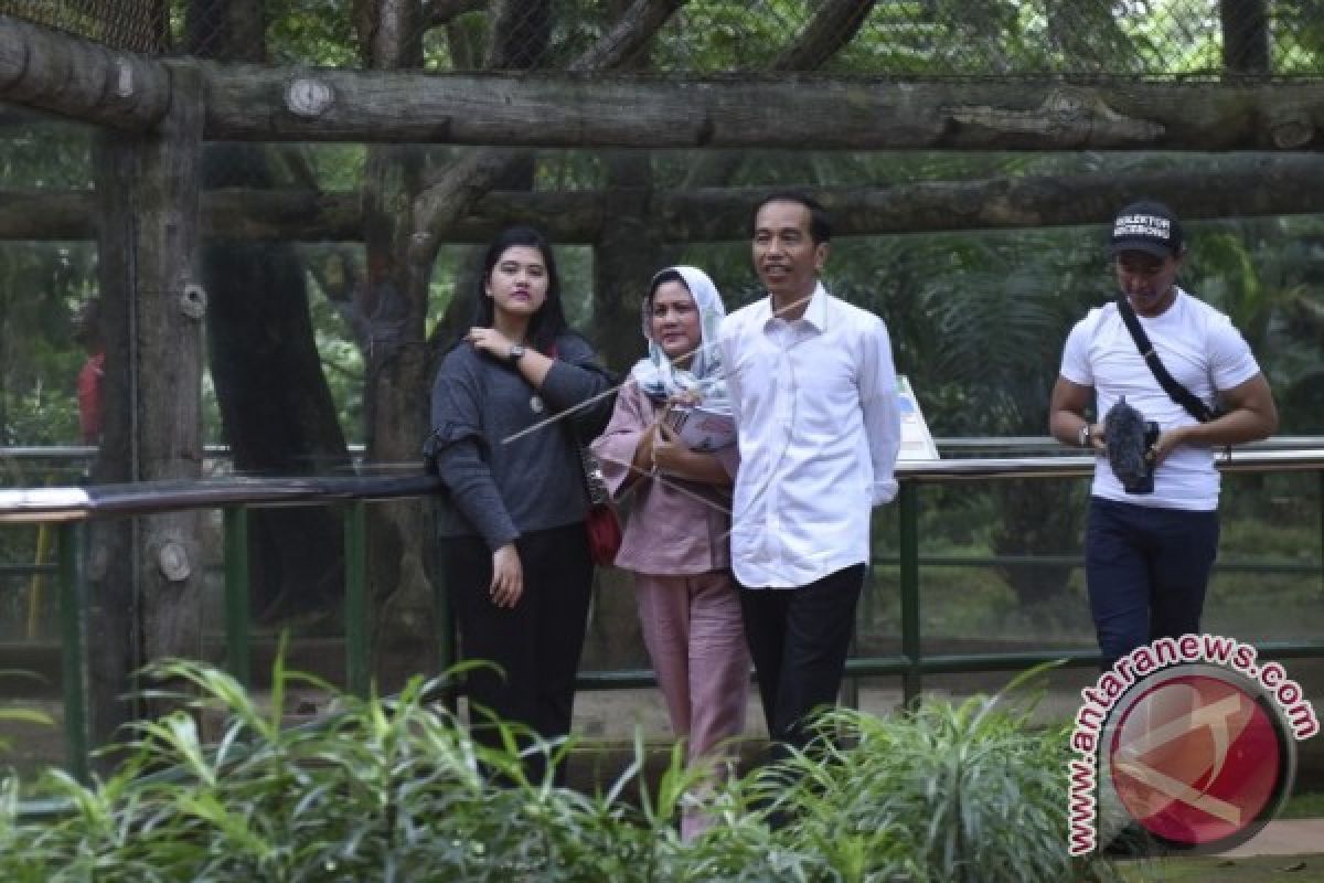 Presiden Jokowi Kunjungi Kebun Binatang Ragunan