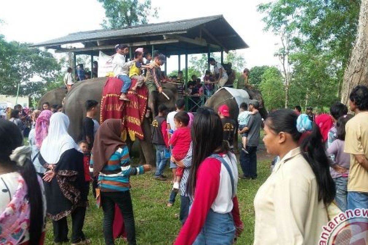   Wisatawan keluhkan rusaknya jalan ke Way Kambas