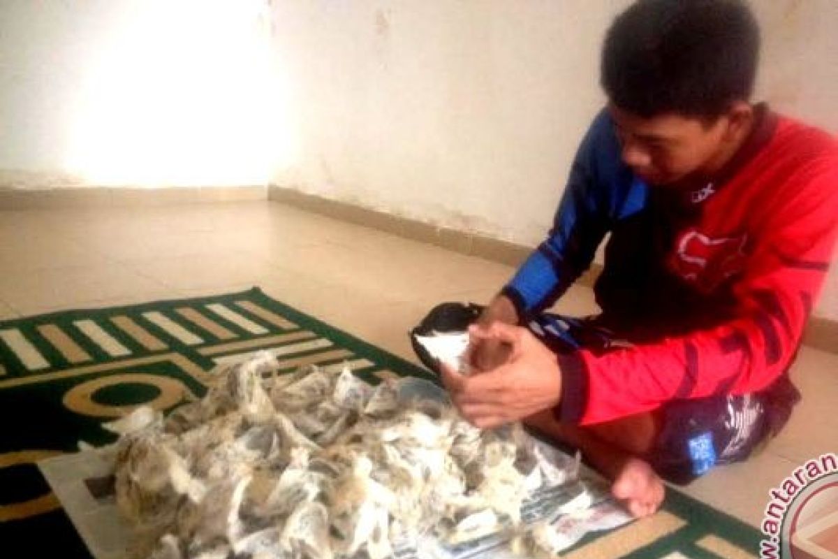 Harga Tinggi, Pengusaha Sarang Walet di Kotim Untung Besar 