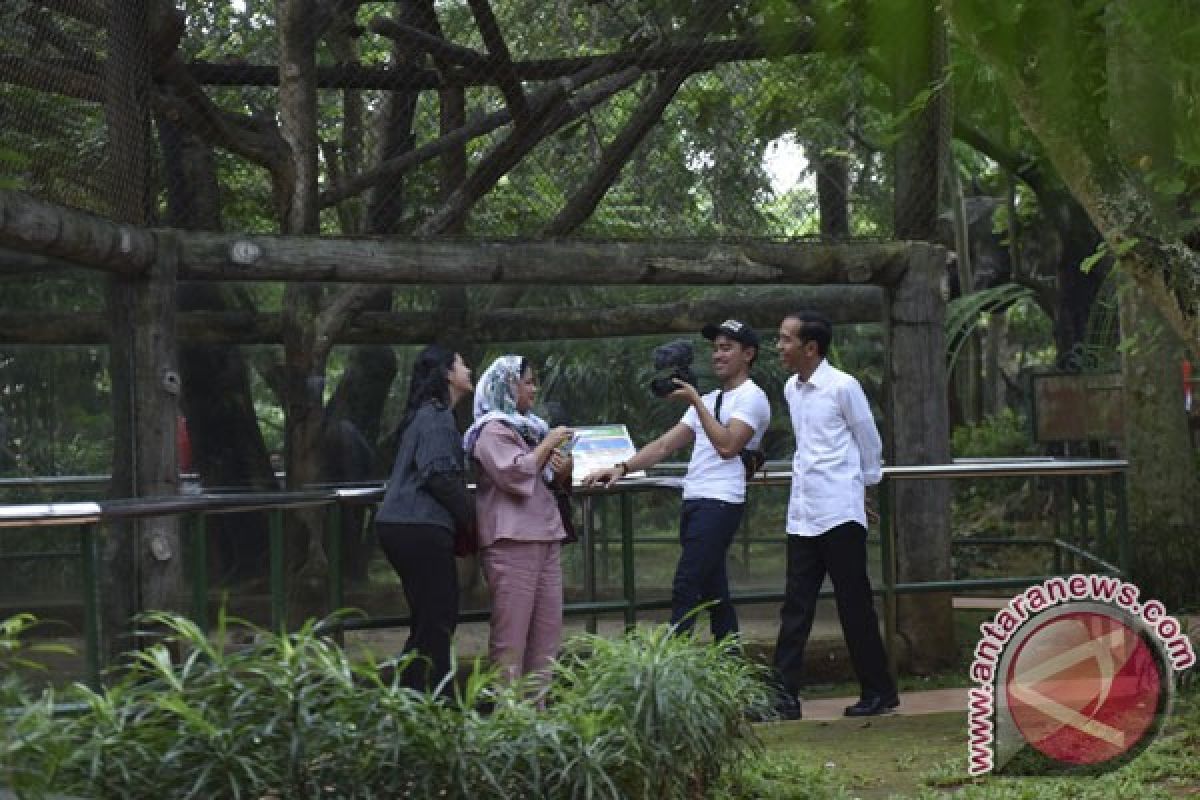 Kemarin, pelapor Kaesang merasa difitnah hingga alumni ITB diserang