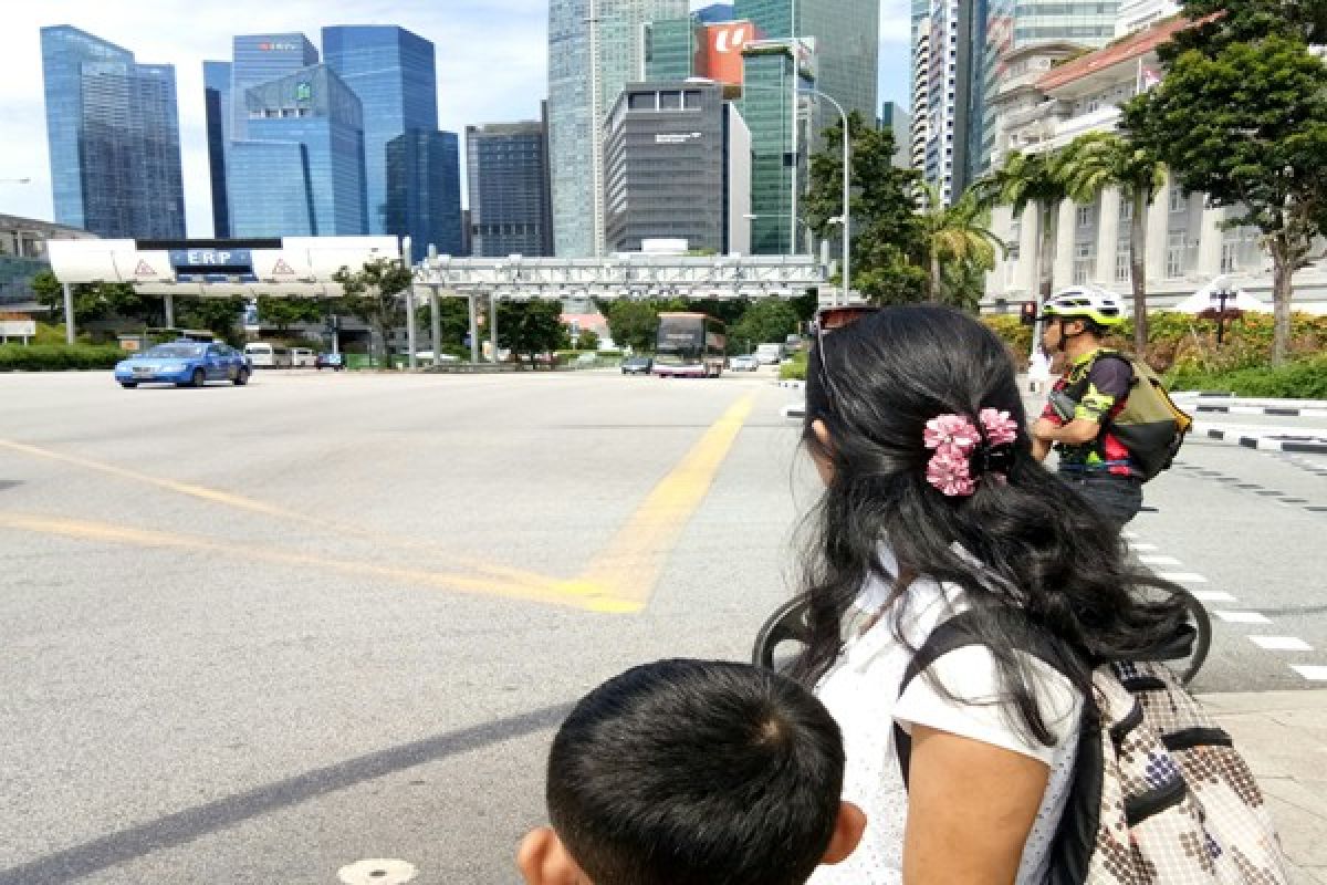 Singapura ubah ruang kosong jadi kebun kota